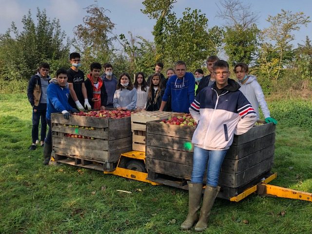 Sortie cueillette et jus de pomme pour les élèves de 3PM